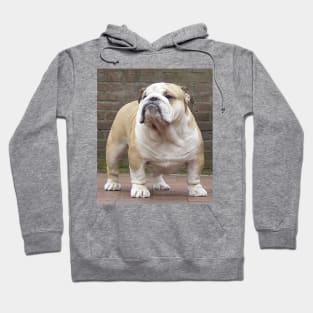 bulldog full third Hoodie